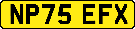 NP75EFX