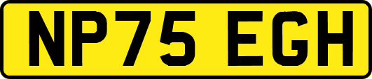 NP75EGH
