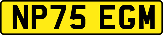 NP75EGM