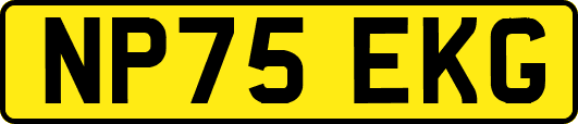 NP75EKG