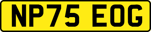 NP75EOG