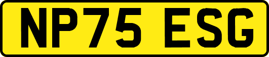 NP75ESG