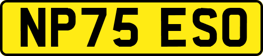 NP75ESO