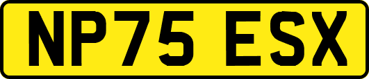 NP75ESX