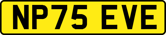 NP75EVE