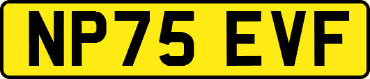 NP75EVF