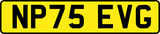 NP75EVG