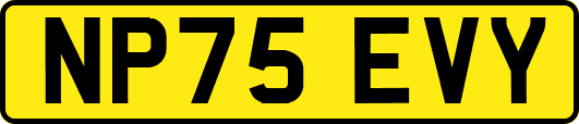 NP75EVY
