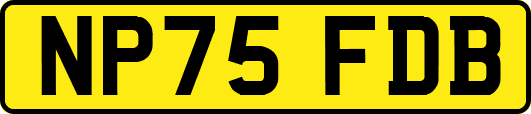 NP75FDB