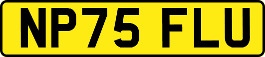 NP75FLU