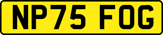 NP75FOG