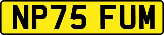 NP75FUM