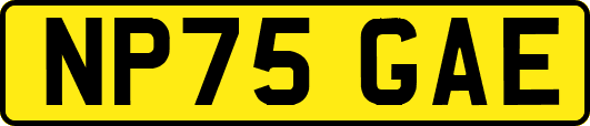 NP75GAE