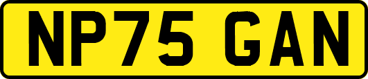 NP75GAN