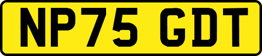 NP75GDT