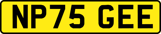 NP75GEE