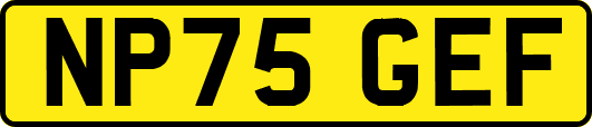 NP75GEF