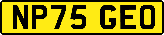 NP75GEO