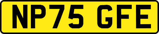 NP75GFE