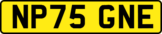 NP75GNE