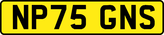 NP75GNS