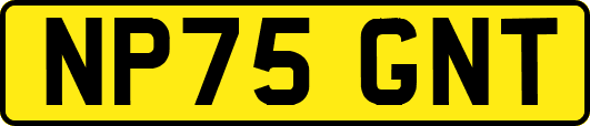 NP75GNT
