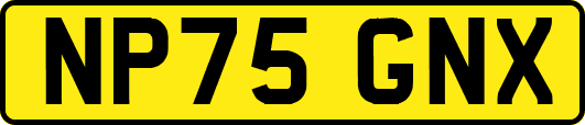 NP75GNX