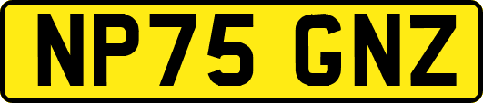 NP75GNZ