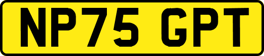 NP75GPT