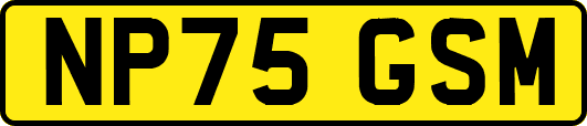 NP75GSM