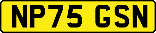 NP75GSN