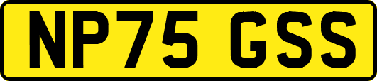 NP75GSS