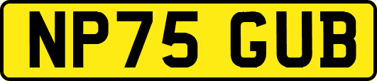 NP75GUB