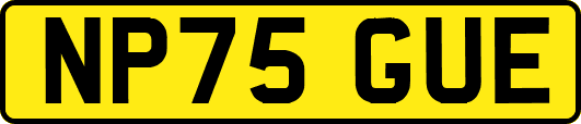 NP75GUE