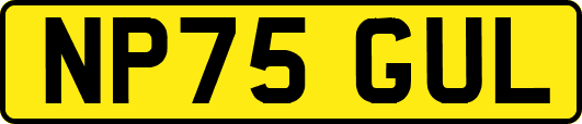 NP75GUL