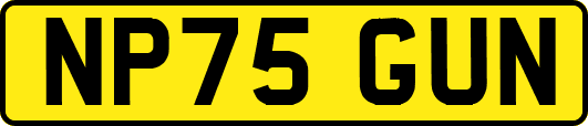 NP75GUN