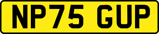 NP75GUP