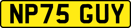 NP75GUY