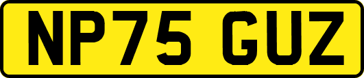 NP75GUZ