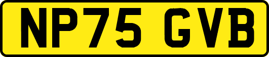 NP75GVB