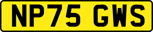 NP75GWS