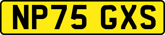 NP75GXS