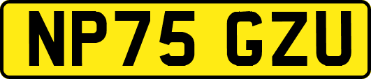 NP75GZU