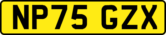 NP75GZX