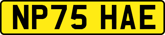 NP75HAE