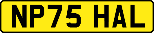 NP75HAL