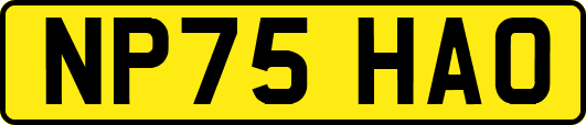 NP75HAO