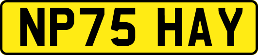 NP75HAY