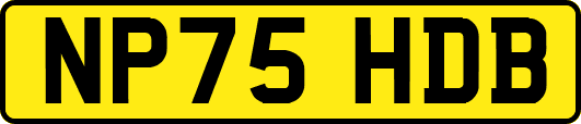 NP75HDB