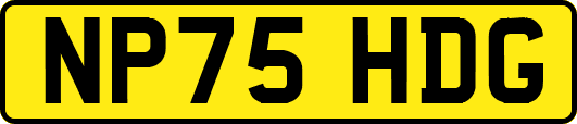 NP75HDG
